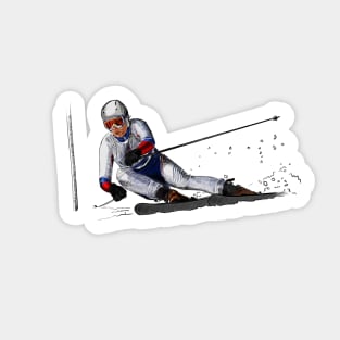 Ski Sticker